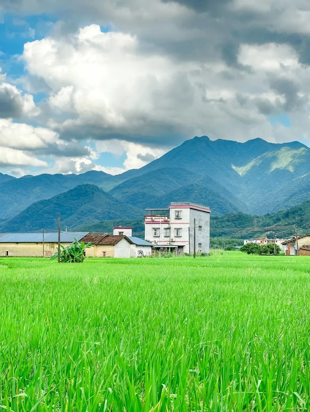 引领区旅游季 | 不藏了，这才是广州夏天该去的地方